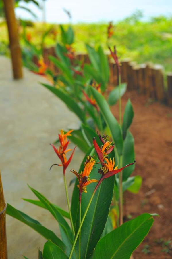 Pura Vida Varkala 호텔 외부 사진